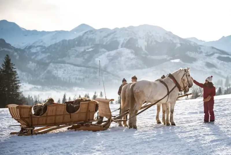 A horse-drawn sleigh on the snow with the Tatras behind