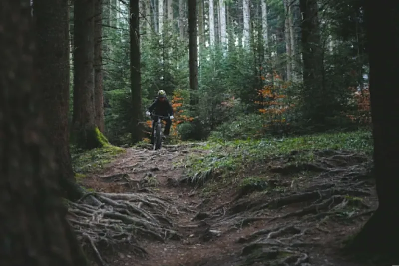 A mountain biker on a forest trail in the Tatras